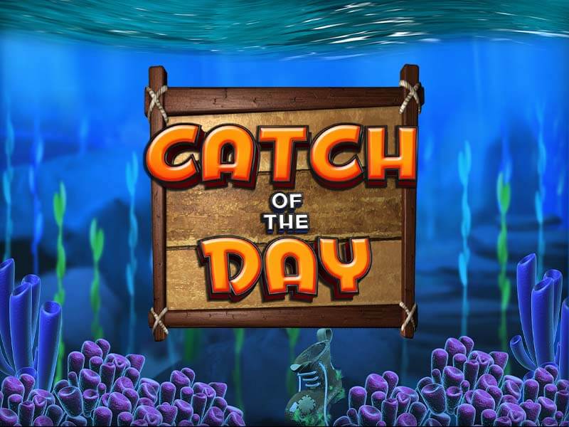 Slot Catch of the Day em 389 win1, alta volatilidade e prêmios de pesca.
