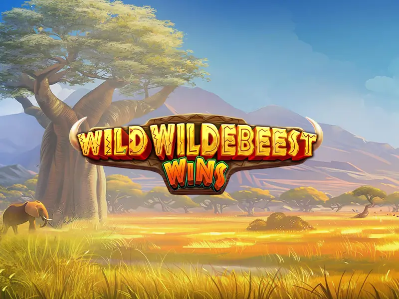 Avatar de Enzo Santos, especialista em Slots Megaways